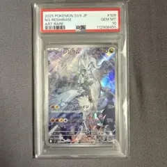 2026年最新】nのレシラム psa10の人気アイテム - メルカリ