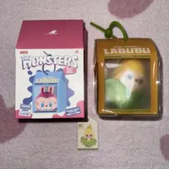 【最終値下げ‼️】THE MONSTERS LABUBU