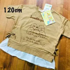 【新品】120 すみっコぐらし いっぱい フリル Tシャツ 半袖