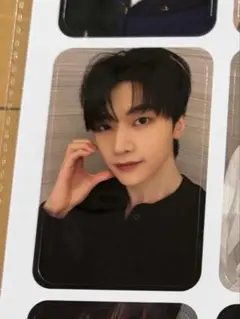 香港　ゼベワントレカ　ZB1 ワルツ　マシュ