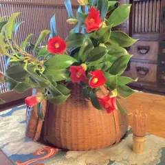 A1072時代物　竹細工　竹籠　魚籠　花籠　（光月）インテリア小物