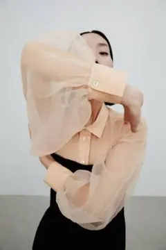 【新品未使用】シースルーオーガンジーブラウス　ZARA XS