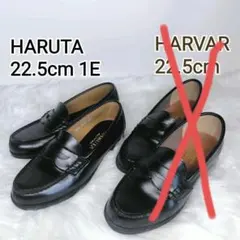 Item thumbnail for item 63e6cd7d-93cf-4da0-8487-9950bd3a97b4