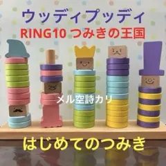ウッディプッディ はじめてのつみき RING10 つみきの王国 知育のサムネイル