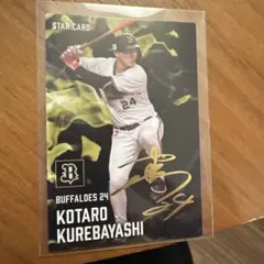 Item thumbnail for item e11118aa-1c85-4ace-a0a2-d499c0f1f262