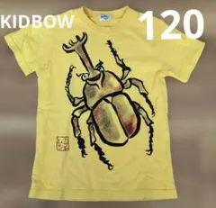 【レア】Kidbow 昆虫の帝王 カブトムシキッズTシャツ 綿100%　120のサムネイル