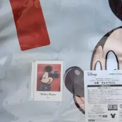 セガラッキーくじ B賞＆F賞 ミッキーマウス