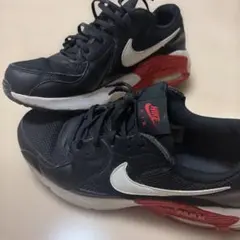 NIKE AIR MAX 27センチ