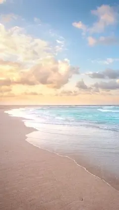 Item thumbnail for item 2f269730-5636-44c4-8a4d-69f9fbbfc680