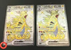 2026年最新】バンギラスEX SRの人気アイテム - メルカリ