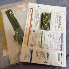 Item thumbnail for item b5a4e712-45fb-4d29-ae3a-51167ef876c1