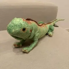 2026年最新】イグアナの人気アイテム - メルカリ