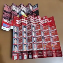 ハリセン２本セット　サントリーサンバーズ2025 ネーションズリーグ2022