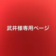 武井様専用