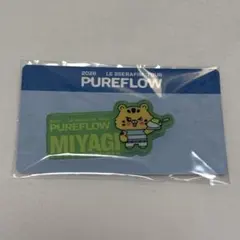 LESSERAFIM 宮城限定グッズ キムアチ チェウォンマグネット LESSERAFIM 宮城限定グッズ キムアチ チェウォンマグネット - メルカリ