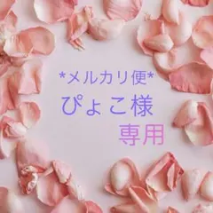 ぴょこ様専用•*¨*•.¸♬