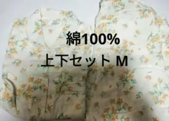 Item thumbnail for item 64293944-225e-4599-aeb1-bfdae3bcf307