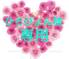 ☆ひろぴょん様。専用☆