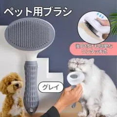 Item thumbnail for item cf548145-afc1-4ffc-8da1-309f8b590bce