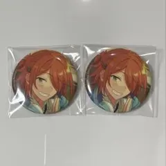 あんスタ 2wink 葵ゆうた コレクション缶バッジ