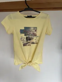 たんぽぽうめ様 リクエスト 3点 まとめ商品