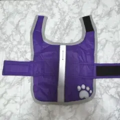 Item thumbnail for item 45a54c18-3a5b-40fa-8b5f-a9292b87a414