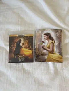 Item thumbnail for item 7a61541c-a9de-4d0e-ba69-77d1ce5c443a