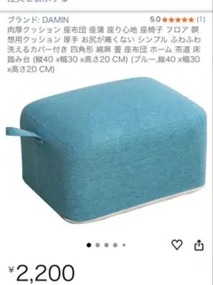 DAMIN 肉厚クッション 座布団 ブルー