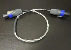 Item thumbnail for item 9e956790-5385-436a-bc63-cc124cb63680