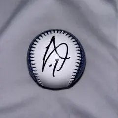 2026年最新】伊藤大海 サインの人気アイテム - メルカリ