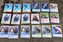 鳥羽水族館 コレクションカード2 とばすいコレカ2 ノーマルコンプ