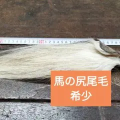 Item thumbnail for item 6215cbfa-df1e-473c-9dfd-45b2c8ca32c7