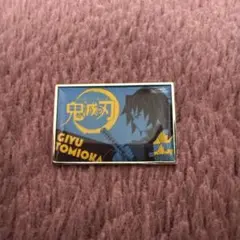 2025年最新】鬼滅の刃 冨岡義勇 ピーンズの人気アイテム - メルカリ