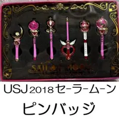 USJ×セーラームーン 25周年記念ピンバッジ5個セット - メルカリ