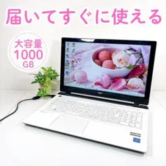大容量1000GB✨すぐに使える✨写真や動画の保存に✨NECノートパソコン✨37