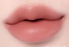 2aN FLUFFY BLUR TINT リップグロスのサムネイル