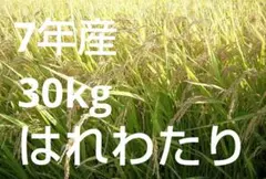 ☆ 令和7年　 　青森県産 　はれわたり　 玄米〈30kg〉のサムネイル