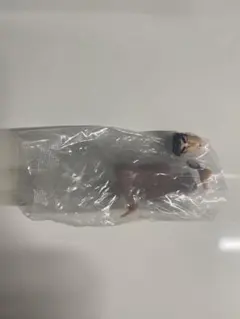 クレヨンしんちゃん 名探偵しんちゃん ～犯人をみつけるゾ！～ ひろし