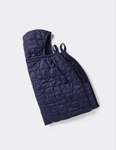 Item thumbnail for item 91f324e4-4e5f-40f5-bfe6-bc768c0afccb