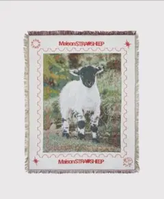 ラグ・カーペット STRAYSHEEP RUG STRAYSHEEP RUG