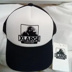 Item thumbnail for item d0e162eb-9df3-4bdc-952e-54fa90234b8a