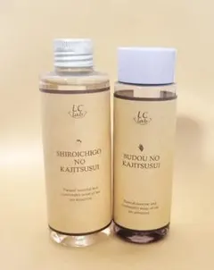 Item thumbnail for item 482082ac-9683-4cc5-ab39-6e8c2efb88a2