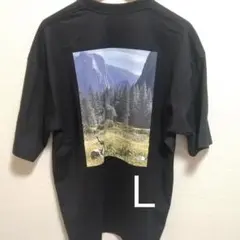 ノースフェイス　Ｌ　Tシャツ　ヨセミテ　シーナリー　ティー