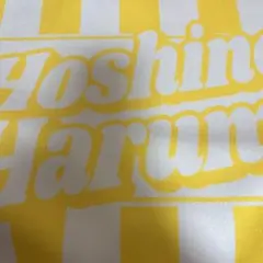 Item thumbnail for item bb5ae8aa-3d56-4fbe-9fb7-49da1f2ff4e3