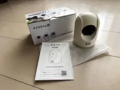 Item thumbnail for item b81d5b74-033e-4f35-bb9f-7201c1940bac