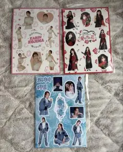 小嶋花梨　ソロコンサート　パンフレット　〜鏡愛瞳〜