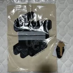 Item thumbnail for item 1352f01d-c431-4841-afa5-e32844d6d1f6