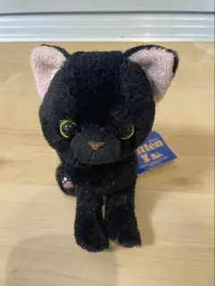 サンレモン キトン ぬいぐるみ 黒猫