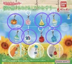 彩り変わった涼を感じるめじるしアクセサリー6種セット