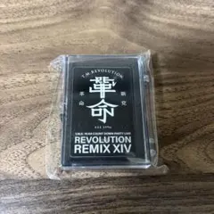 Item thumbnail for item 8a22131b-916e-4689-a92e-2db70410388b